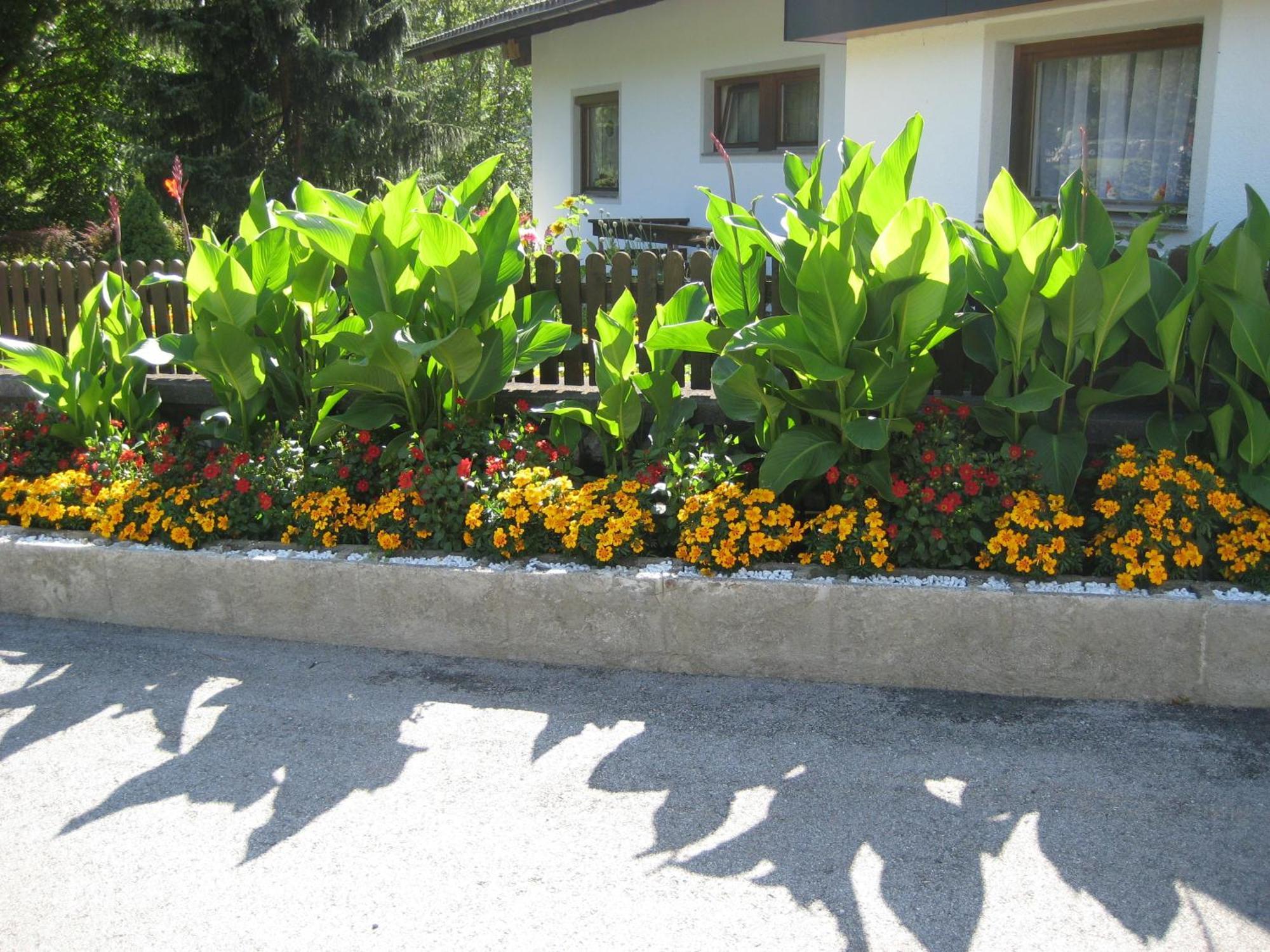 Ferienwohnungen Schleich Nassereith Buitenkant foto